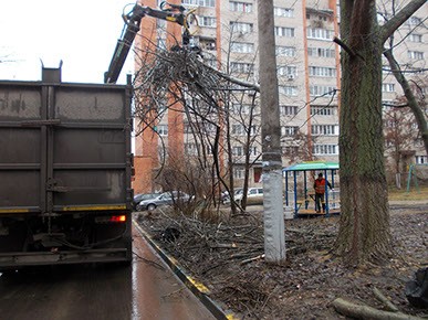 Вывоз древесины